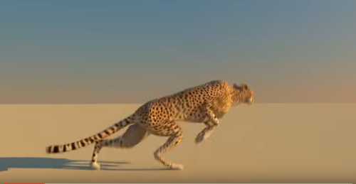 3d animation of a cheetah run cycle